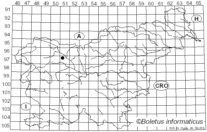 <i>Crustomyces</i> Jülich (1978)