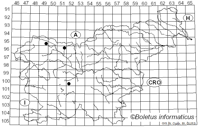 <i>Tubercularia persicina</i> Ditmar (1817)
