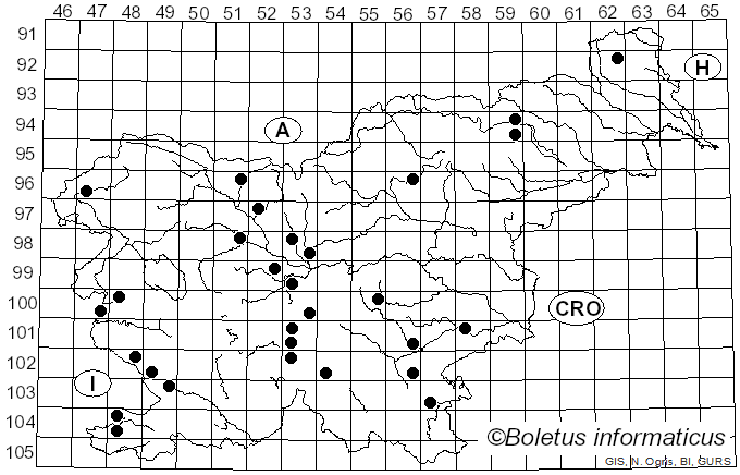 <i>Tricholoma fracticum</i> (Britzelm.) Kreisel (1984)