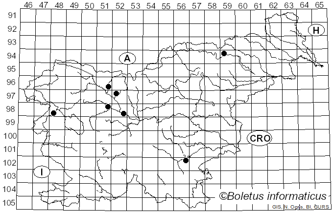 <i>Ascotremella faginea</i> (Peck) Seaver (1930)