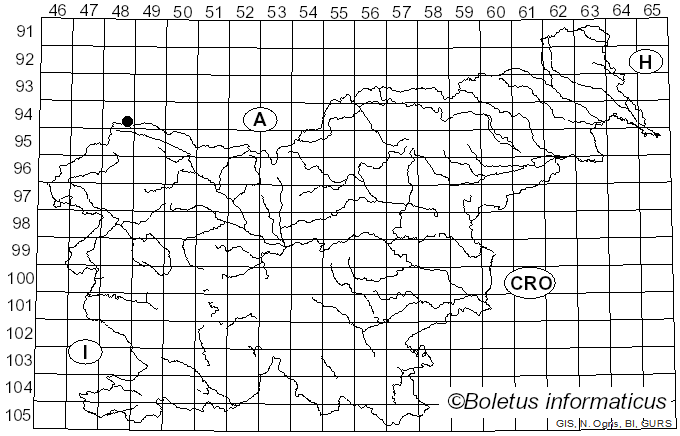 <i>Hypodermella laricis</i> Tubeuf (1895)