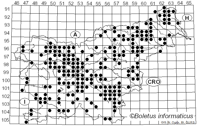<i>Clitocybe nebularis</i> (Batsch) Quél. (1857)
