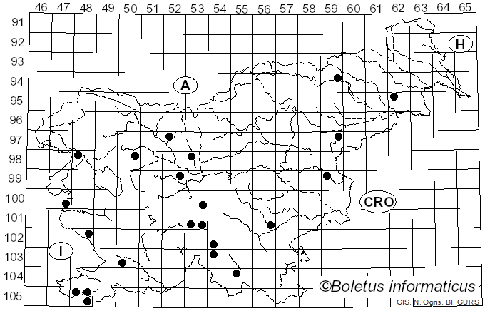 <i>Lactarius evosmus</i> Kühner & Romagn. (1954)
