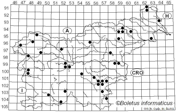 <i>Scleroderma bovista</i> Fr. (1829)
