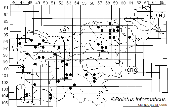 <i>Cortinarius spilomeus</i> (Fr.) Fr. (1863)