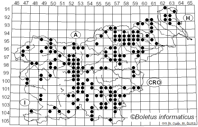 <i>Kuehneromyces mutabilis</i> (Schaeff.) Singer & A.H. Sm. (1946)