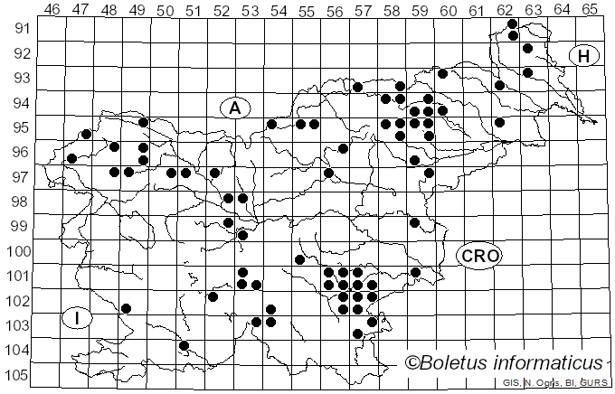 <i>Russula firmula</i> Jul. Schäff. (1940)