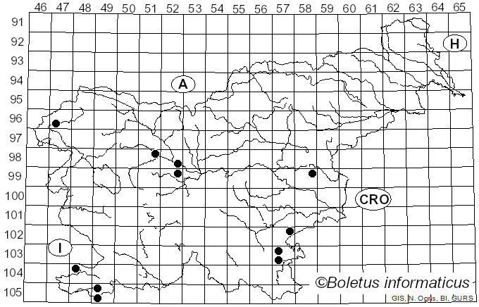 <i>Hygrophorus latitabundus</i> Britzelm. (1899)