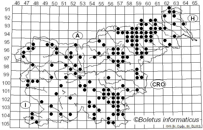 <i>Trametes pubescens</i> (Schumach.) Pilát (1939)