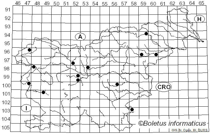 <i>Vanderbylia fraxinea</i> (Bull.) D.A. Reid (1973)
