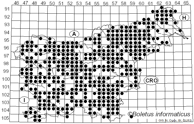 <i>Mycena</i> (Pers.) Roussel (1806)