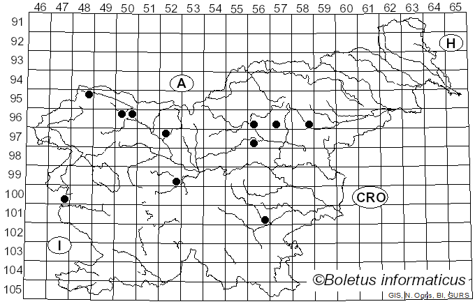 <i>Sarcodontia setosa</i> (Pers.) Donk (1952)
