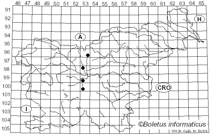 <i>Didymium squamulosum</i> (Alb. & Schwein.) Fr. (1818)