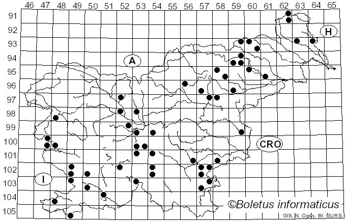 <i>Aureoboletus gentilis</i> (Quél.) Pouzar (1957)