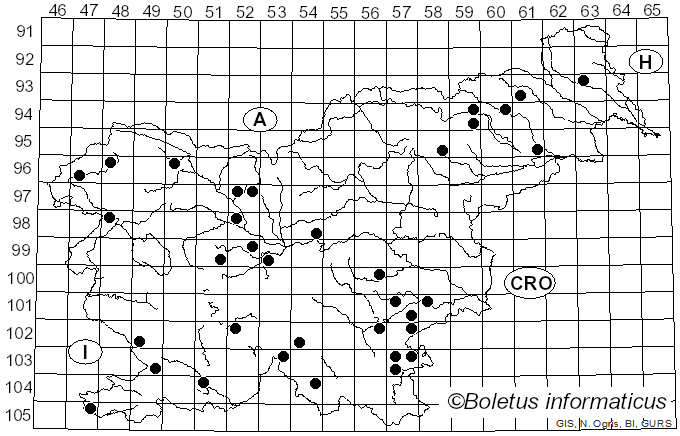 <i>Byssomerulius corium</i> (Pers.) Parmasto (1967)