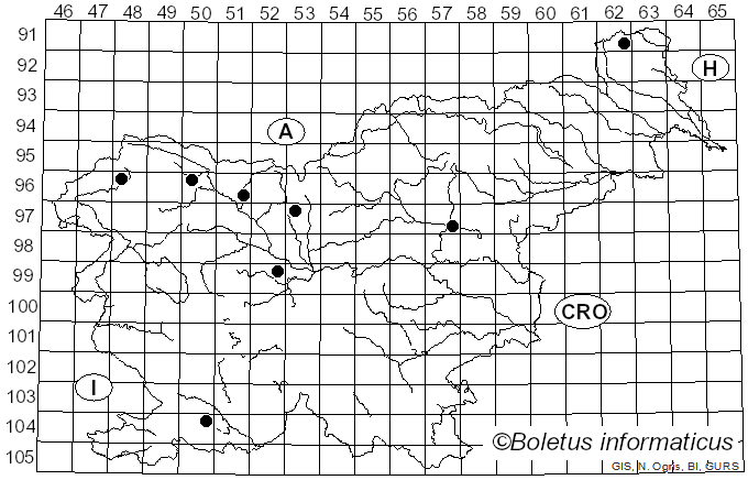 <i>Cyphellopsis anomala</i> (Pers.) Donk (1931)