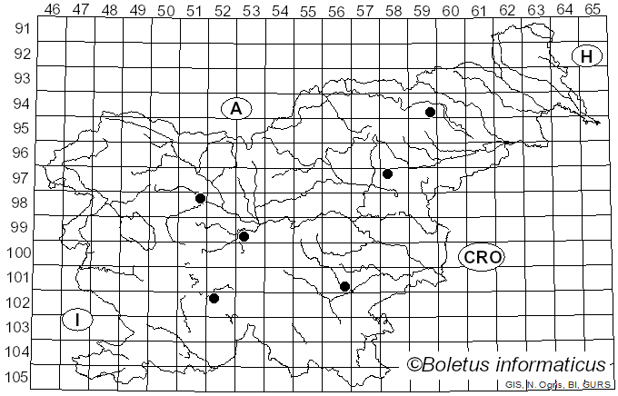 <i>Calonarius odoratus</i> (Joguet ex M.M. Moser) Niskanen & Liimat. (2022)