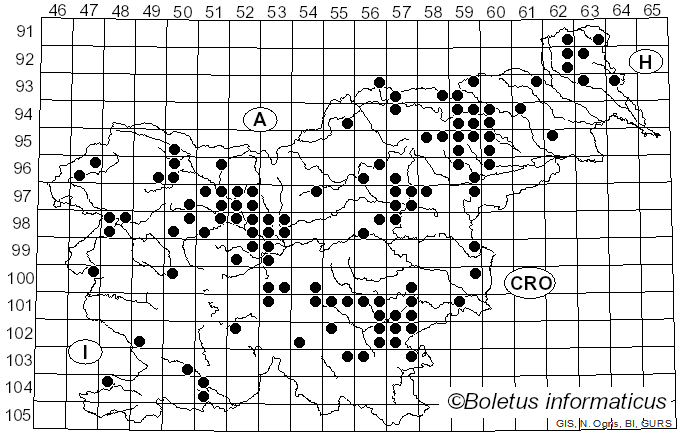 <i>Ampulloclitocybe clavipes</i> (Pers.) Redhead, Lutzoni, Moncalvo & Vilgalys (2002)