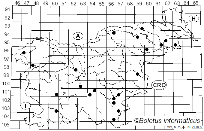 <i>Neoboletus xanthopus</i> (Klofac & A. Urb.) Klofac & A. Urb. (2014)
