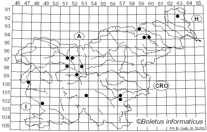<i>Tricholoma stans</i> (Fr.) Sacc. (1887)