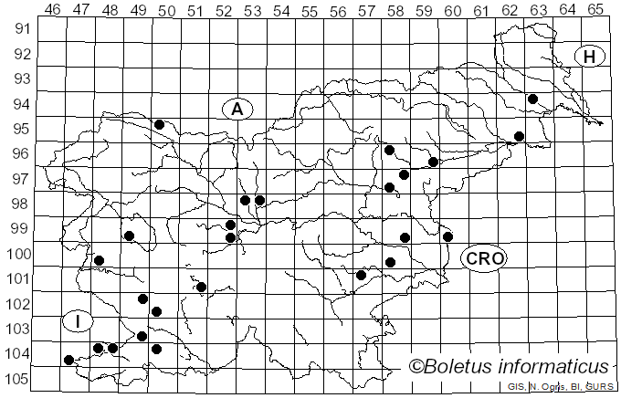 <i>Aceria</i> Nal.