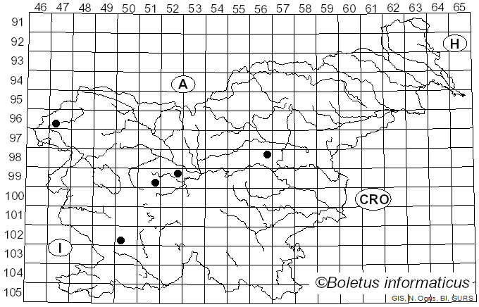 <i>Mycena capillaris</i> (Schumach.) P. Kumm. (1871)