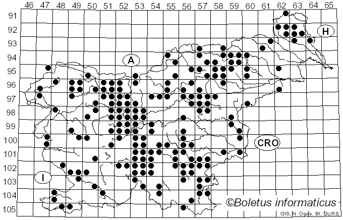 <i>Craterellus lutescens</i> (Fr.) Fr. (1838)