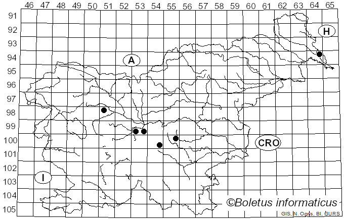 <i>Tricholoma inocyboides</i> Corner (1994)