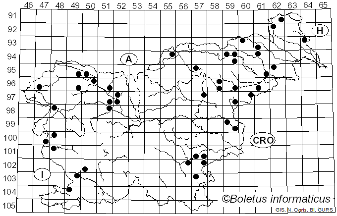 <i>Parasola conopila</i> (Fr.) Örstadius & E. Larss. (2008)