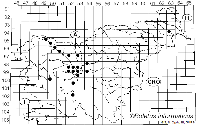 <i>Puccinia violae</i> (Schumach.) DC. (1815)