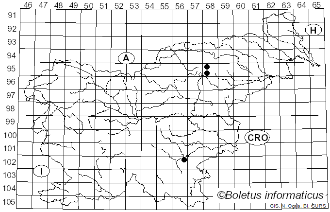 <i>Inocybe inodora</i> Velen. (1920)