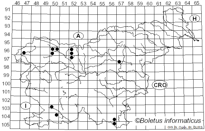 <i>Phaeotremella</i> Rea (1912)