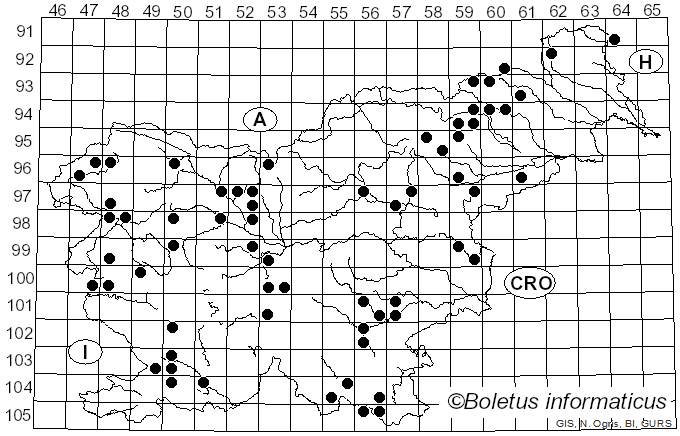 <i>Plicaturopsis</i> D.A. Reid (1964)