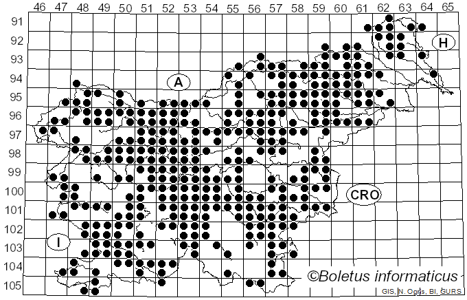 <i>Suillus</i> Gray (1821)