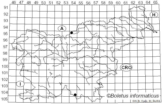 <i>Trichia verrucosa</i> Berk. (1859)