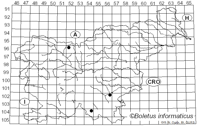 <i>Scutellinia armatospora</i> Denison (1961)