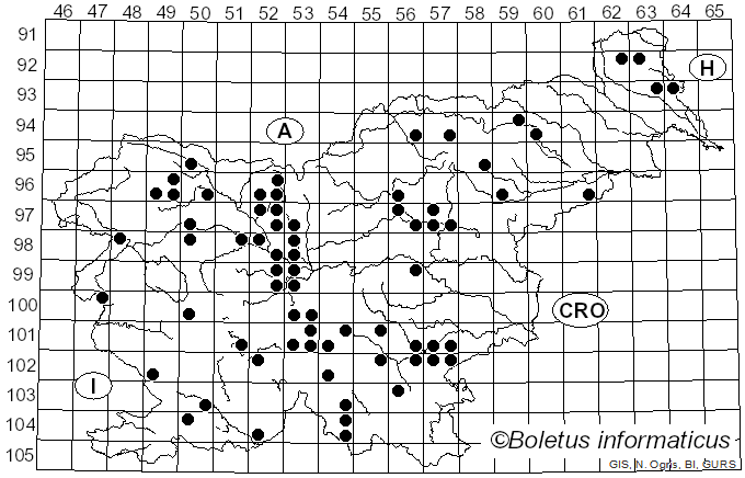 <i>Pluteus atromarginatus</i> (Konrad) Kühner (1935)
