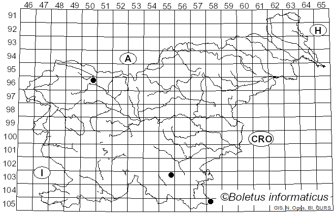 <i>Trechispora cohaerens</i> (Schwein.) Jülich & Stalpers (1980)