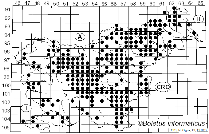 <i>Scleroderma citrinum</i> Pers. (1801)
