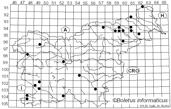 <i>Cortinarius laniger</i> Fr. (1838)