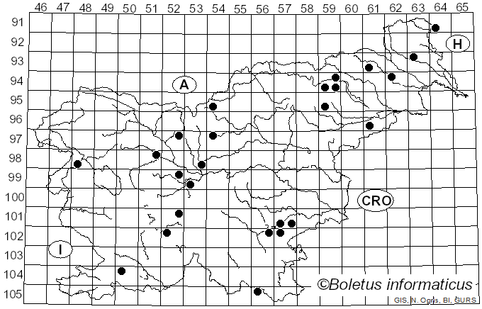 <i>Gymnopilus junonius</i> (Fr.) P.D. Orton (1960)