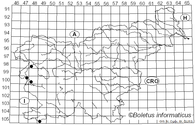 <i>Marasmiellus candidus</i> (Bolton) Singer (1948)