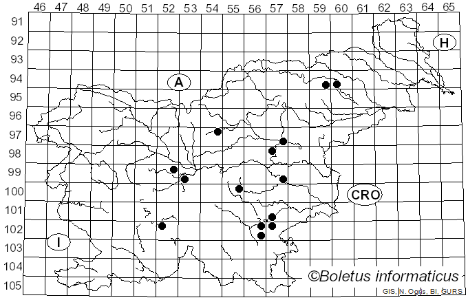 <i>Lentinula edodes</i> (Berk.) Pegler (1976)