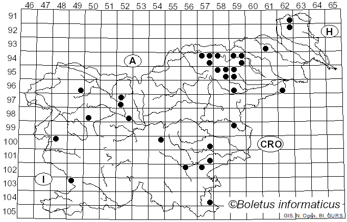 <i>Cortinarius acutus</i> (Pers.) Fr. (1838)