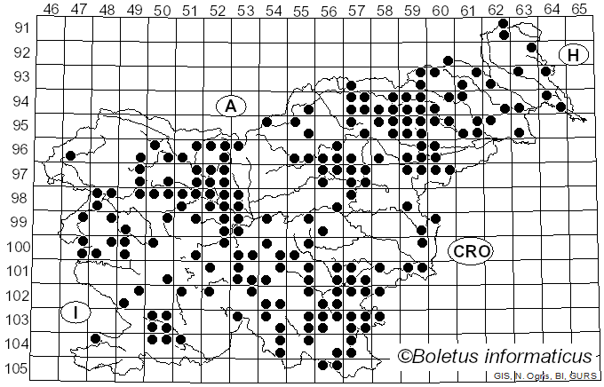 <i>Ganoderma applanatum</i> (Pers.) Pat. (1887)