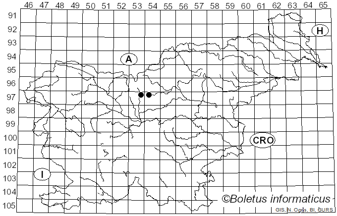 <i>Diderma globosum</i> var. <i>europaeum</i> Buyck (1988)