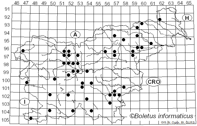 <i>Exidia glandulosa</i> (Bull.) Fr. (1822)