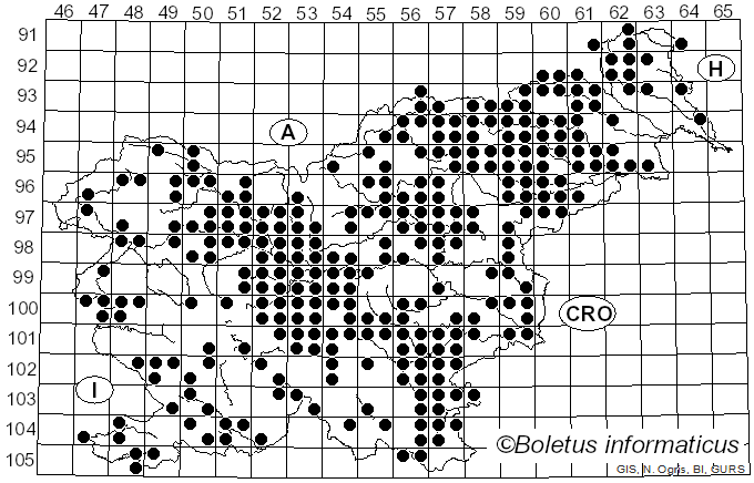 <i>Scleroderma</i> Pers. (1801)