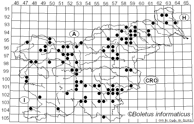 <i>Cortinarius venetus</i> (Fr.) Fr. (1838)