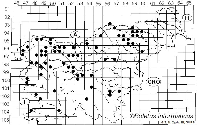 <i>Lactarius porniniae</i> Rolland (1889)